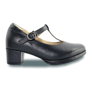 Elegant Ladies Shoes